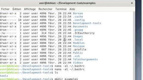 C/C++ : INT ARGC and CHAR* ARGV[  ] Illustration with GCC on DEBIAN 10 and VIRTUALBOX 6.1