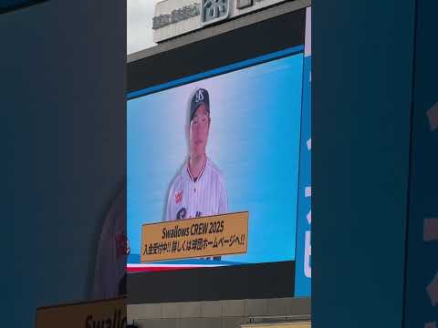 松本直樹選手がスワクル宣伝！ヤクルトスワローズ