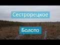 Сестрорецкое болото