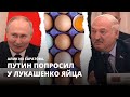 Путин попросил у Лукашенко яйца. Алик из Саратова