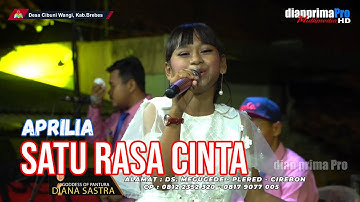 SATU RASA CINTA || APRILIA (LIVE MUSIC OFFICIAL) DIAN PRIMA