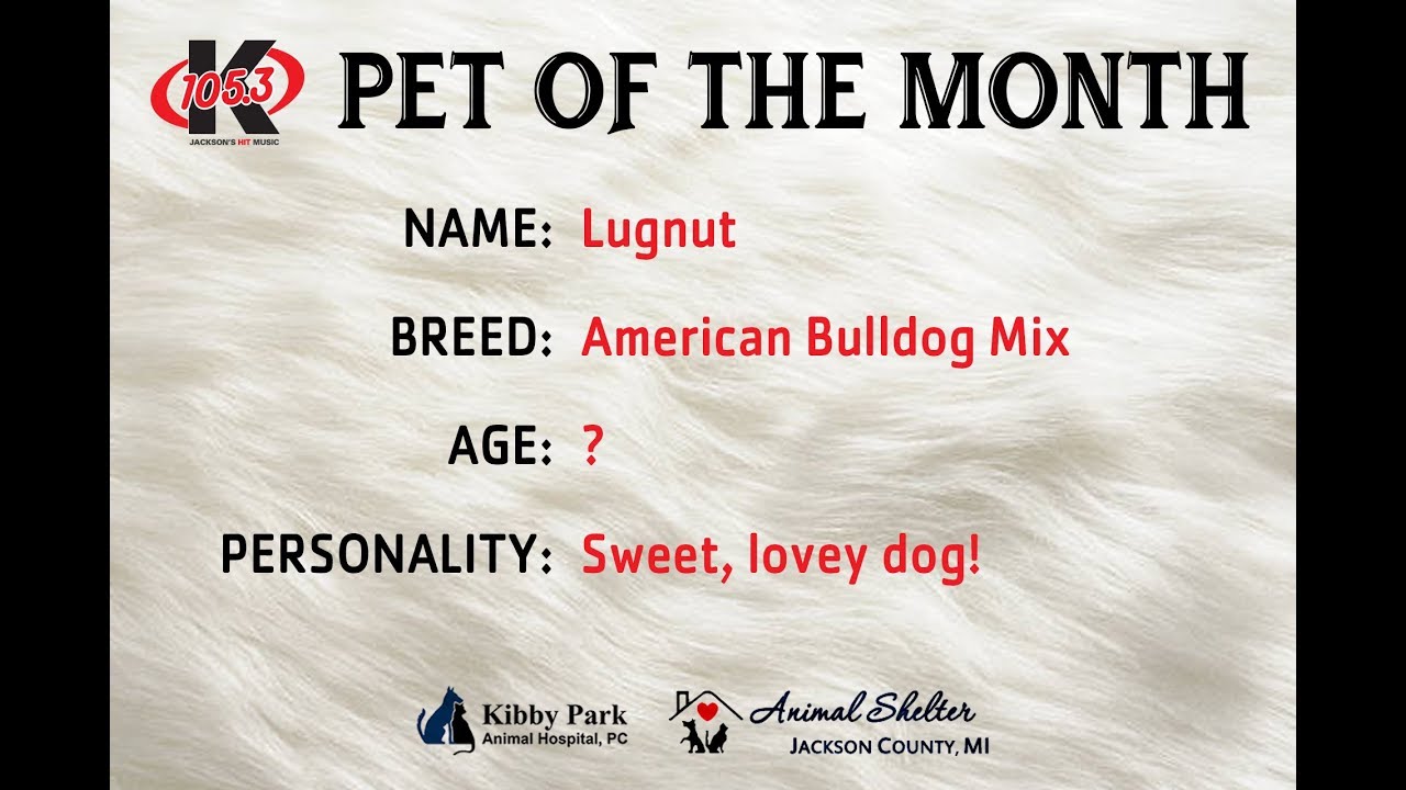 video editing software free Pet of The Month Lugnut