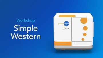 Workshop: Total Protein and Protein Normalization with Simple Western™