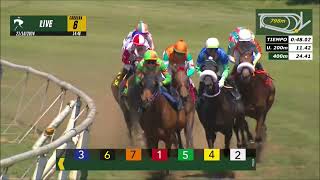 Vidéo de la course PMU PRIX TVN