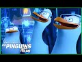 Vento do Norte vs. Pinguins! 🐺🐧😳 | Pinguins de Madagascar | DreamWorks Madagascar