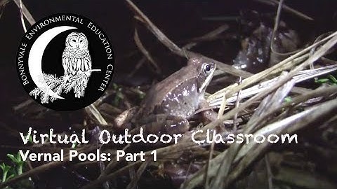 Vernal Pools Part 1