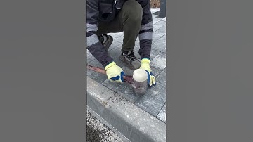 neat installation of paving blocks in the yard #construction #popular #paving #viralshorts #shorts