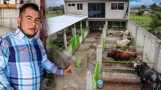 ¡DE LA CIUDAD, A GANADERO DE RANCHO! UNA GANADERÍA QUE EMPEZÓ DE CERO Y SUEÑA EN GRANDE.