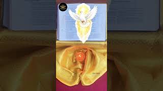 Forgive & You Will Be Forgiven ✨ | Holy Spirit Message | Sacred Mindset