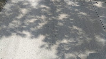 Eclipse 2017 projections in tree shadow