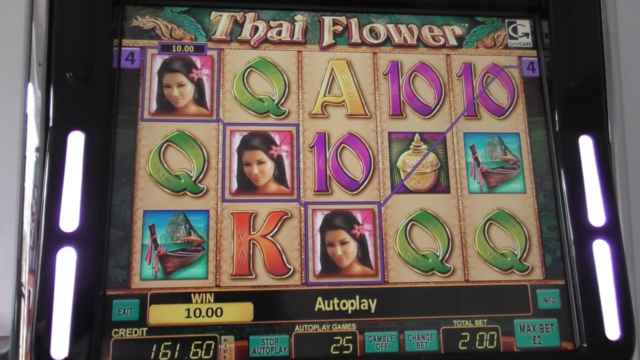Thai Flower Triple 7 slot chasing free spins!