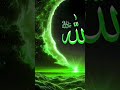 Sarkar ka naukar hun 🕋 Sabir Raja 🌹🌠💮💐💜❤️