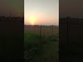 प्रकृति की सुंदरता