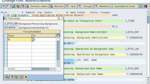 SAP Basis Authorization New Role
