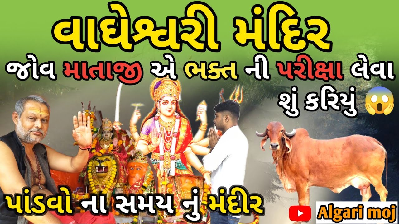 માતાજી એ ભક્ત ની પરીક્ષા લેવા શું કરીયું 😱 | Vagheahvari Mandir | વાઘેશ્વરી મંદીર | Algari Moj |
