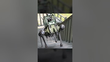 The Robot Dog You Don