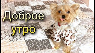 🌸Доброе Утро🌸 Музыкальная Открытка