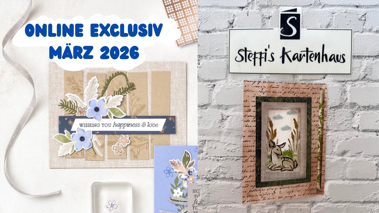 Zickzackkarte mit Fenster Wow Karte mit DSP Stampin‘ Up! Frühlingsgrüße Produkte des Monats März