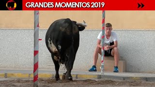 GRANDES MOMENTOS de 2019 · Cuarta y última parte