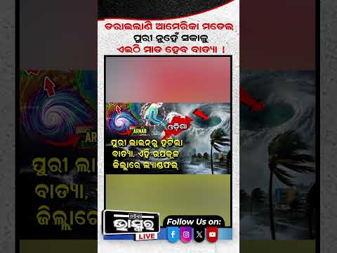 କନ୍ଦାଇଲାଣି ଆମେରିକା ମଡେଲ!  #america #batya #shortvideo