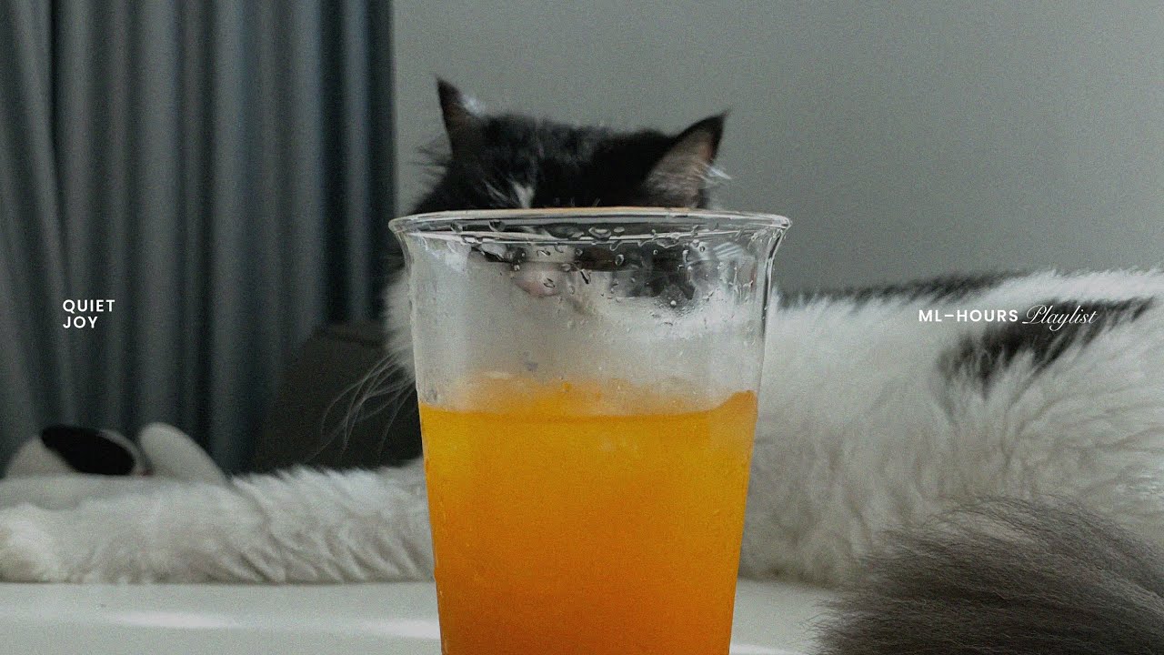 quiet joy — soft music for slow, calm hours