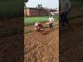 🌾 घास-फूस का दुश्मन! Power Weeder💯🚜🔥#viral #minitractor #kisan #kheti #shorts #subscribe