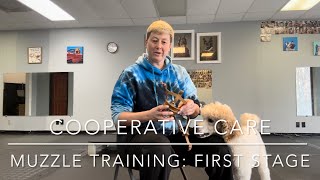 Cooperative Care Series: Muzzle Training, first steps The First Step To Muzzle Training Any Dog