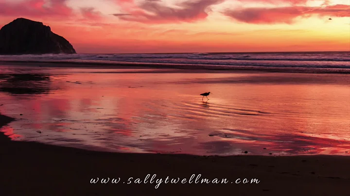 Connect with your body and your essence - Guided M...