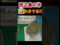 西之島の沖で金わき出す！！