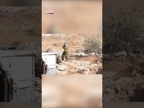 İsrail'de Silahlanan Sivil Yahudiler 18 Filistin Köyüne Saldırdı #shorts
