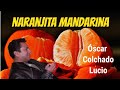 Naranjita mandarina de Ócar Colchado Lucío