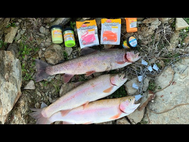 How to Fish Powerbait for Trout (Easy Method) 