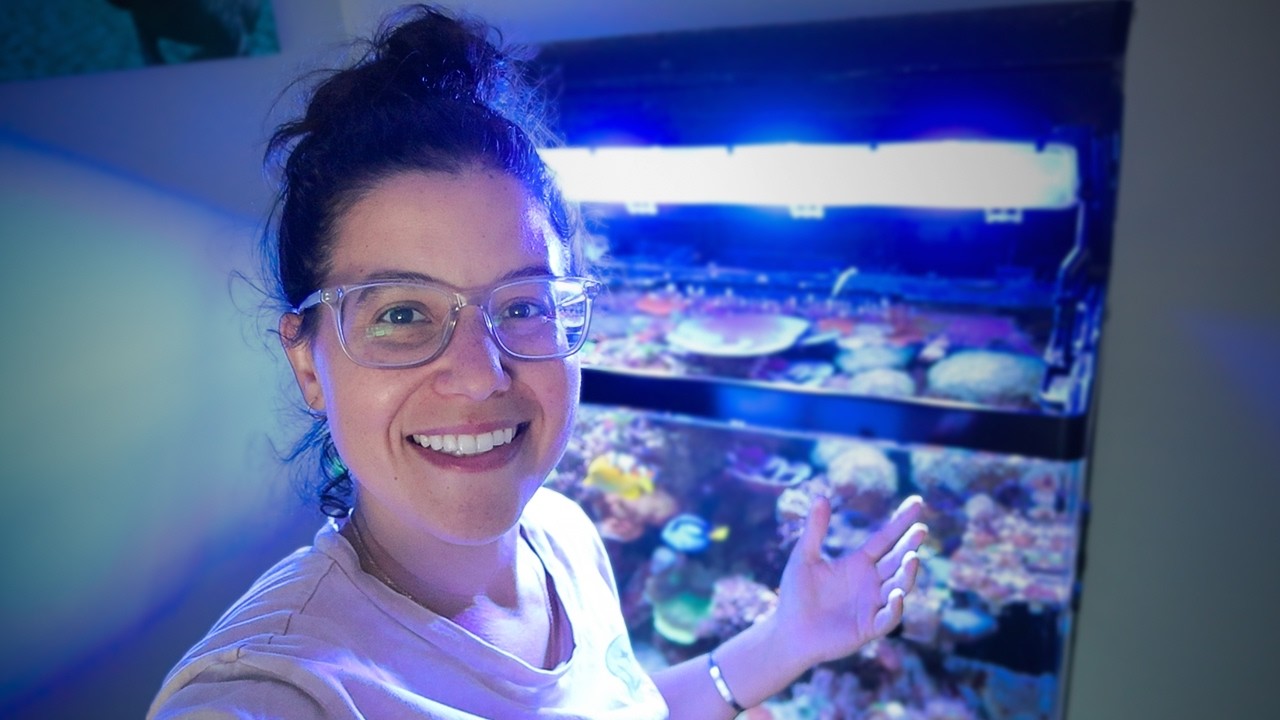 What Daily Reefing ACTUALLY Looks Like