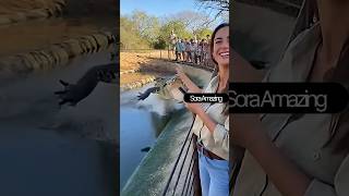 "Terrifying Crocodile Attack in Safari Park!"