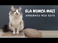 Arranhador para Gato com Papelão - 2 modelos | aprenda como fazer esse DIY para seu gato