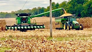 JOHN DEERE X9 1100 COMBINE HARVESTING CORN 12 ROW DRAGO CORN HEAD 2026 FALL CORN HARVEST 