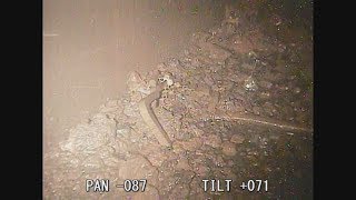 2号機で溶融核燃料初確認 東電福島第1原発調査