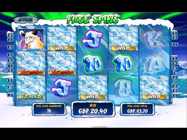 Wild Gambler Arctic Adventure Slot Review | Demo & Free Play | RTP Check video preview