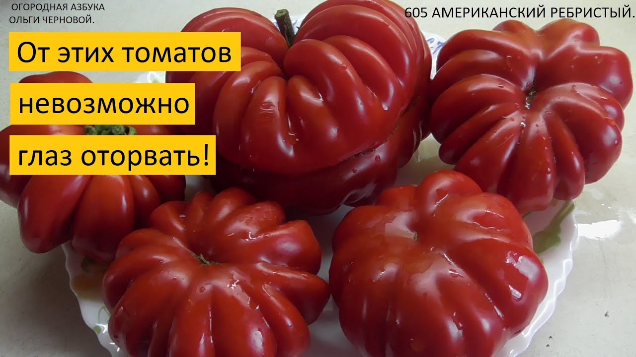 Ольга Чернова Новые Видео 2022 Года