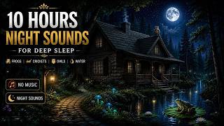 10 Hours of Relaxing Night Time Ambience 🌙 Forest Sounds, Crickets, Owl & Soft Nature for Deep Sleep