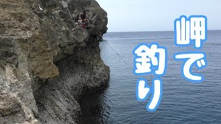 サメのいる岬で釣りをしてみた