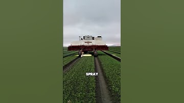 Wiping out dozens of weeds per second — this machine could end the era of herbicides! #laser #usa