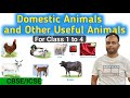 Domestic Animals And Other Useful Animals|For Class 1 to 4 only|CBSE|ICSE||Study In Depth
