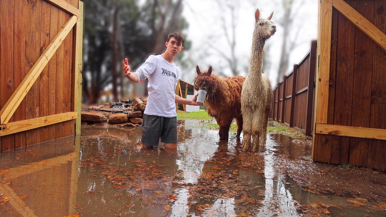 Everything is flooded... (my yard is ruined) - YouTube