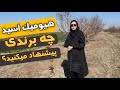 هیومیک اسید کودی که با خیلی کود ها ترکیب میشه 