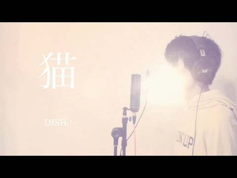猫 DISH// カバー