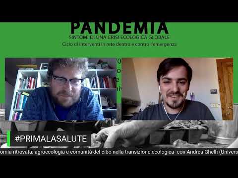 Video: Abbiamo Bisogno Di Fertilizzanti Industriali Per Superare La Crisi Alimentare? Rete Matador