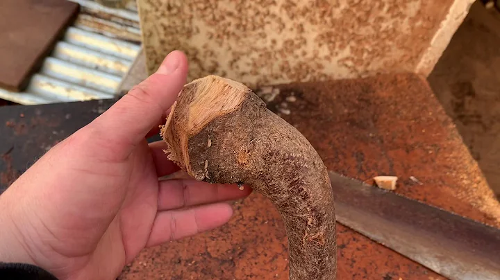 How to carve a blackthorn shillelagh handle from s...