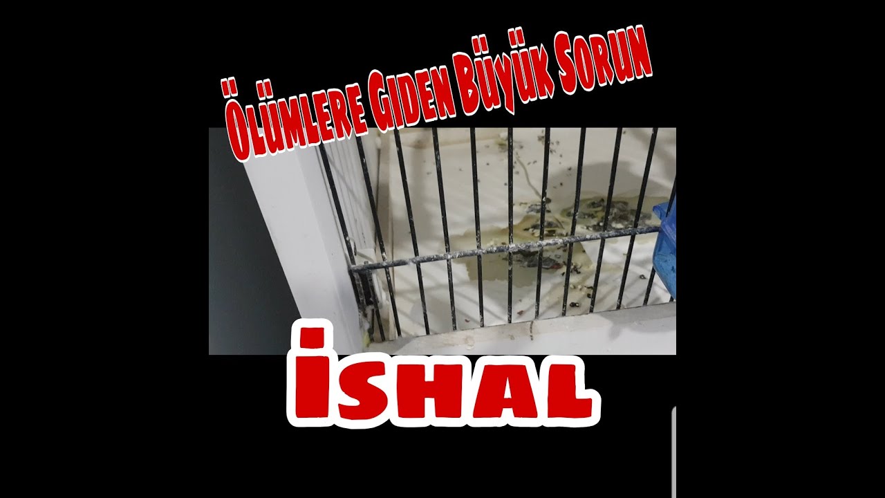 MUHABBET KUŞLARINDA İSHAL ve TEDAVİSİ