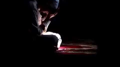 سوره الزمر (القارئ هزاع البلوشي)